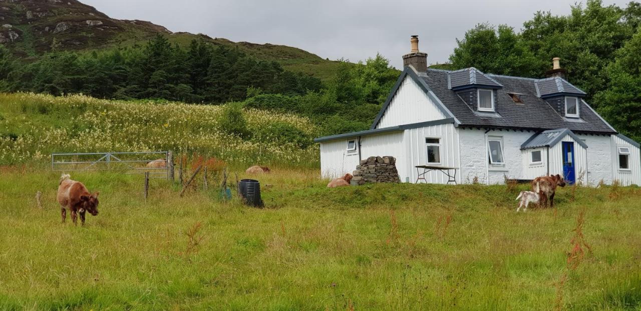 Isle Of Carna, Secluded Scottish Island, Loch Sunart Villa Acharacle Exterior photo